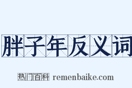 胖子年反义词是什么意思的图片